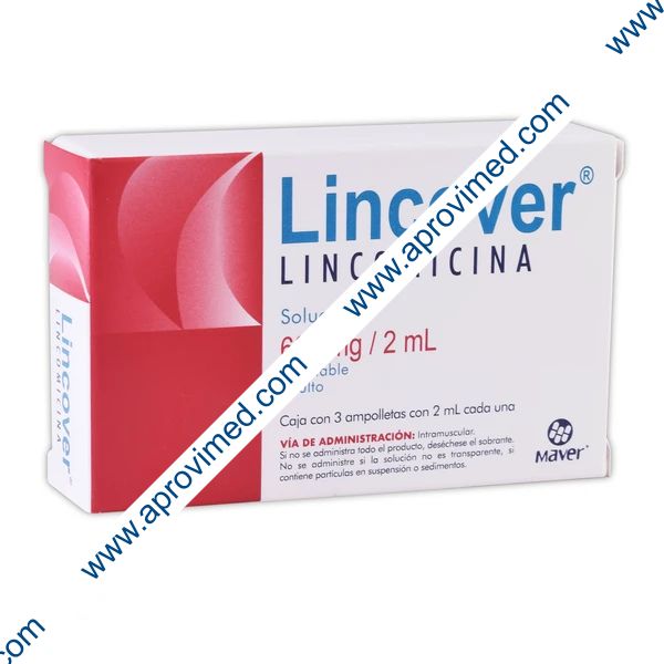 LINCOVER Sol. Iny. ADULTO c/3 AMPTAS. 600 MG/2 ML.