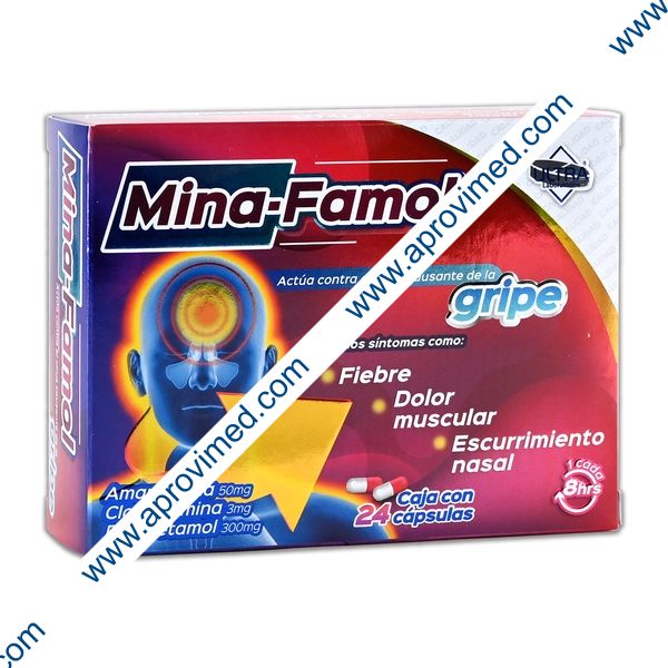 MINA-FAMOL c/24 CAPS. 50/3/300 MG.