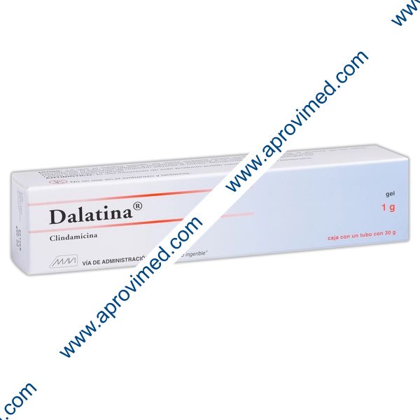 DALATINA GEL Tubo c/30 G. 1 G/100 G.