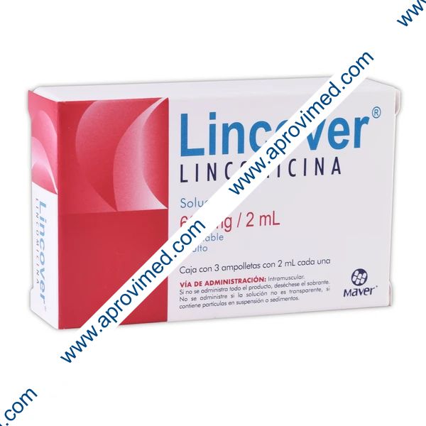 LINCOVER Sol. Iny. ADULTO c/3 AMPTAS. 600 MG/2 ML.