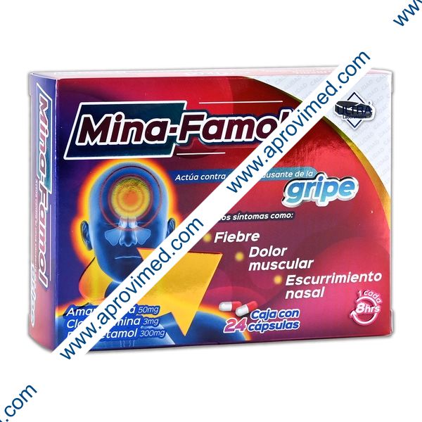 MINA-FAMOL c/24 CAPS. 50/3/300 MG.