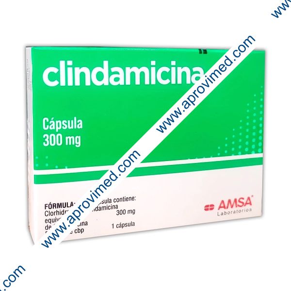 CLINDAMICINA (Amsa) c/16 CAPS 300 MG.