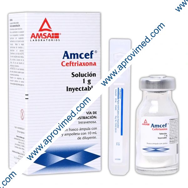 AMCEF I.V. Sol. Iny. c/1 FCO. AMP. 1 G/10 ML.