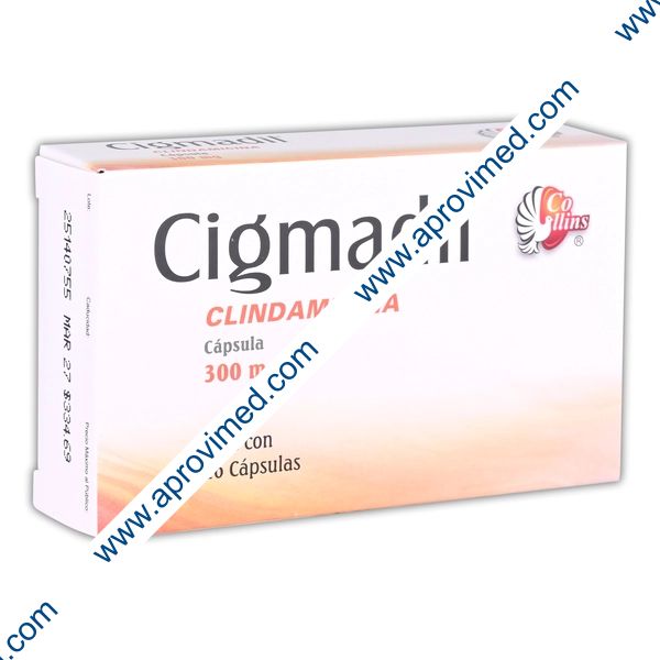 CIGMADIL c/16 CAPS. 300 MG.
