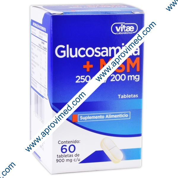 GLUCOSAMINA+MSM c/60 TABS. 250/200 MG.