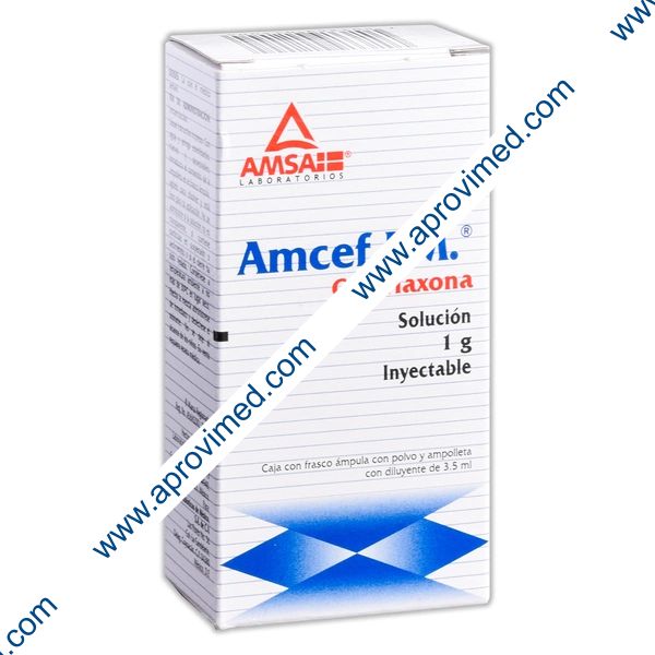 AMCEF I.M. Sol. Iny. c/1 FCO. AMP. 1 G/3.5 ML. – APROVISIONAMIENTO MEDICO
